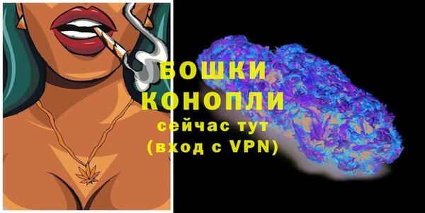 МДПВ Верея