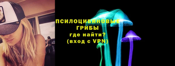 МДПВ Верея