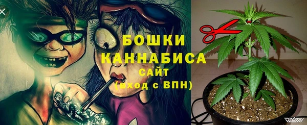 МДПВ Верея