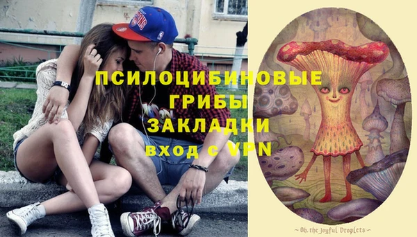 МДПВ Верея